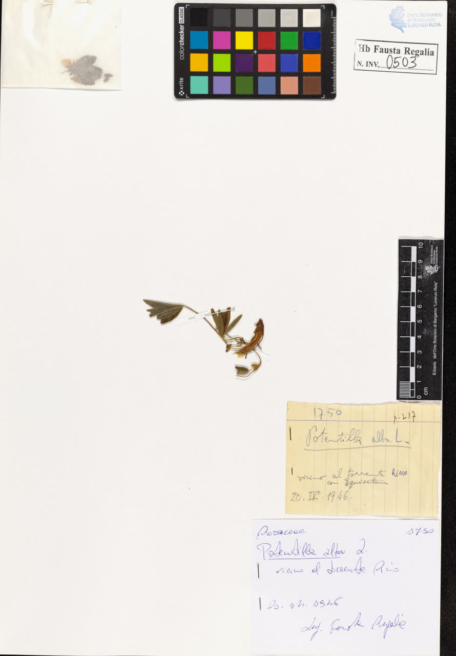 SW_BNB_s3020-00506_IMG-0000000001