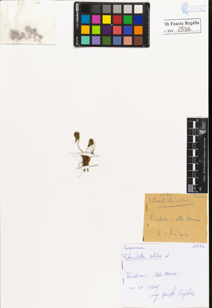 SW_BNB_s3020-00507_IMG-0000000001