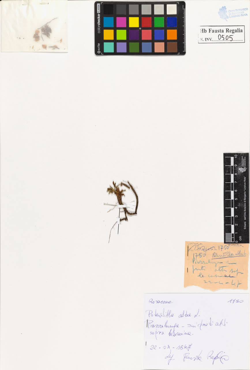 SW_BNB_s3020-00508_IMG-0000000001