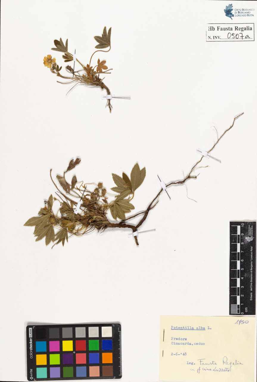 SW_BNB_s3020-00510_IMG-0000000001