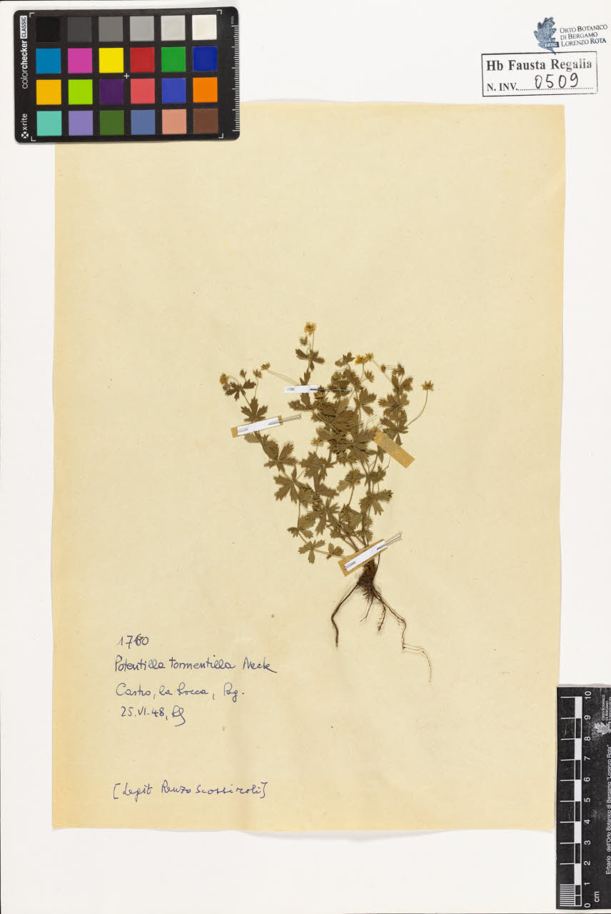 SW_BNB_s3020-00512_IMG-0000000001