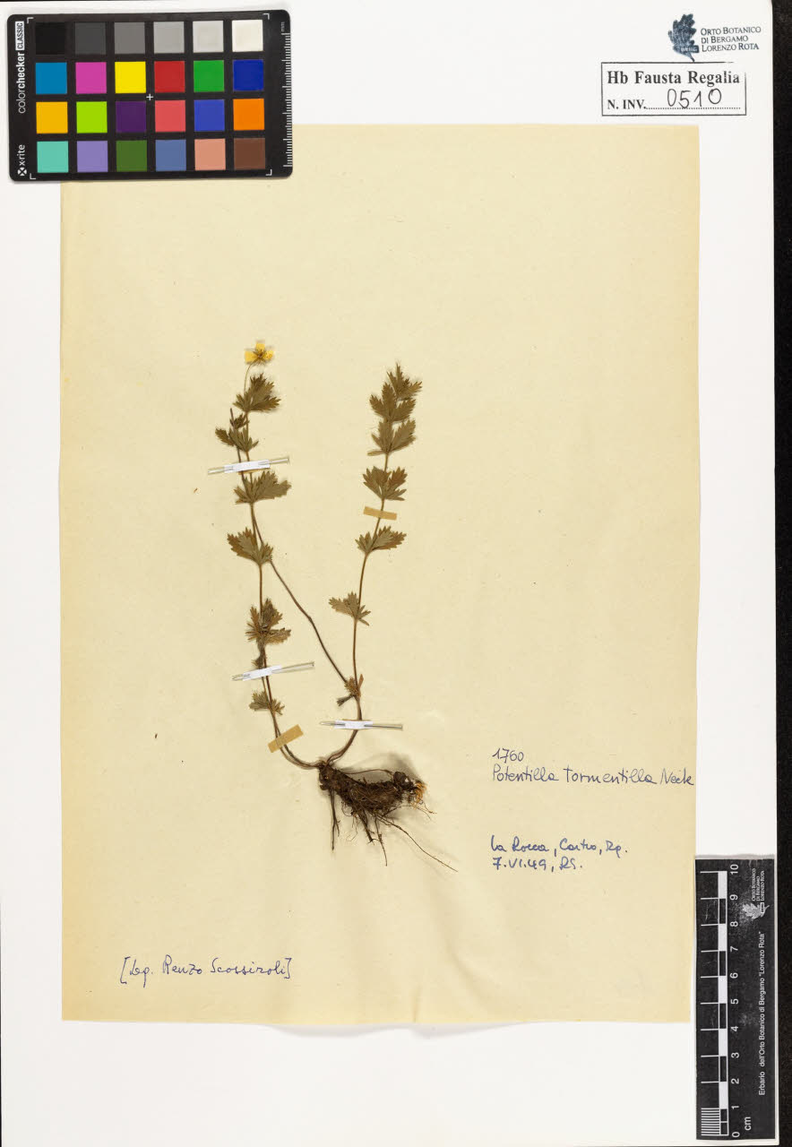 SW_BNB_s3020-00513_IMG-0000000001