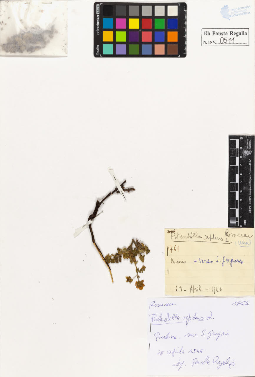 SW_BNB_s3020-00514_IMG-0000000001