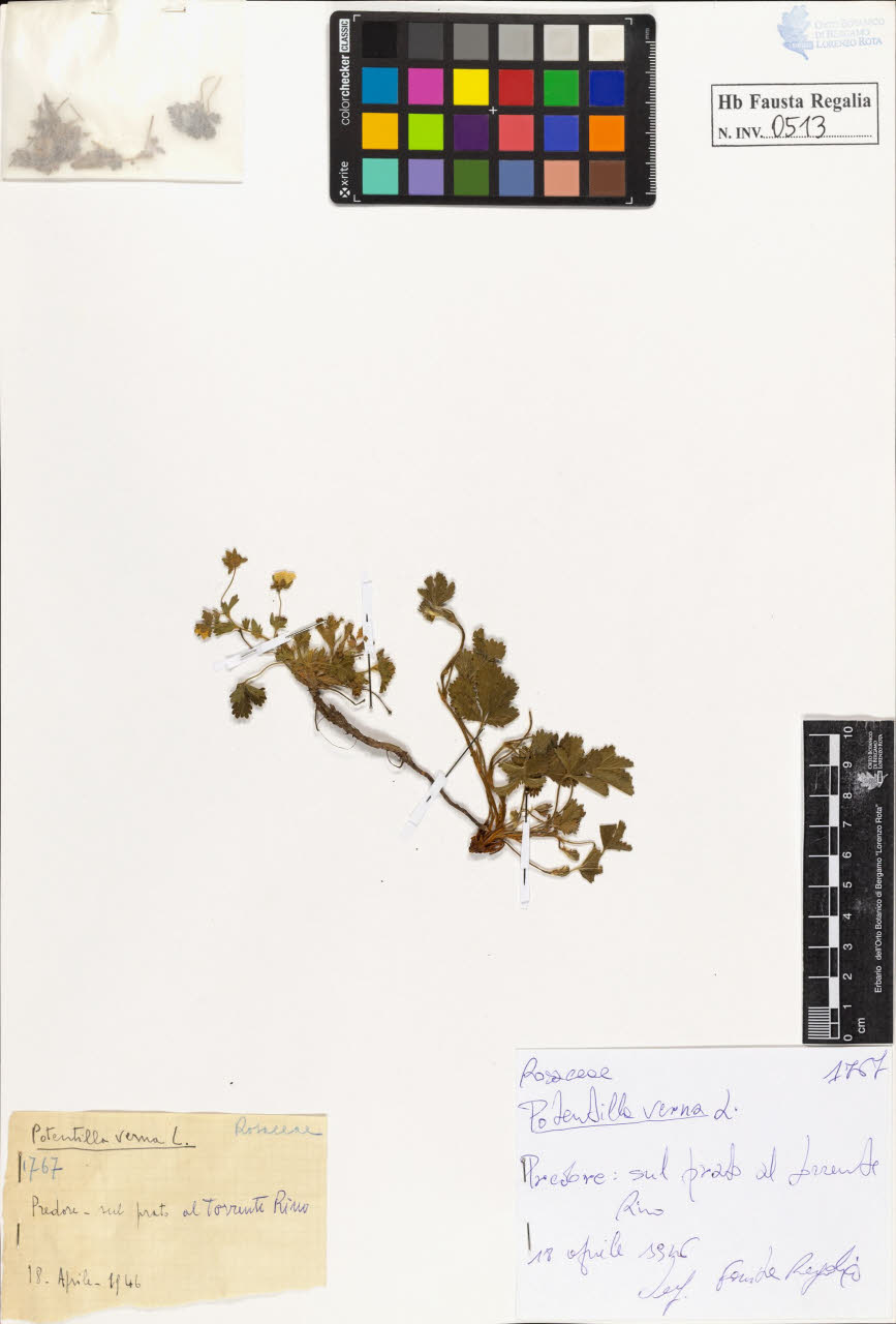 SW_BNB_s3020-00516_IMG-0000000001