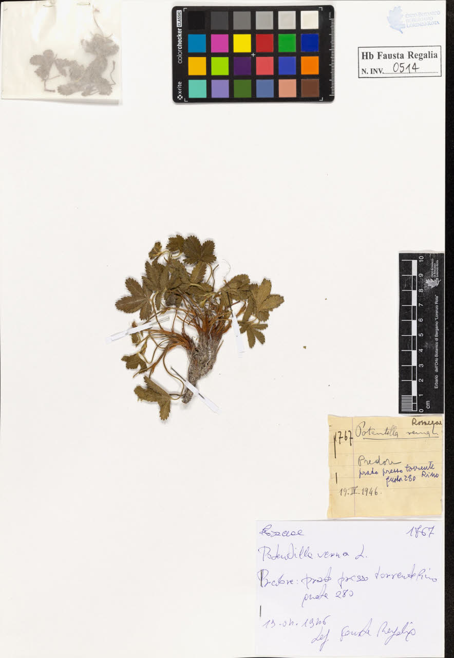 SW_BNB_s3020-00517_IMG-0000000001