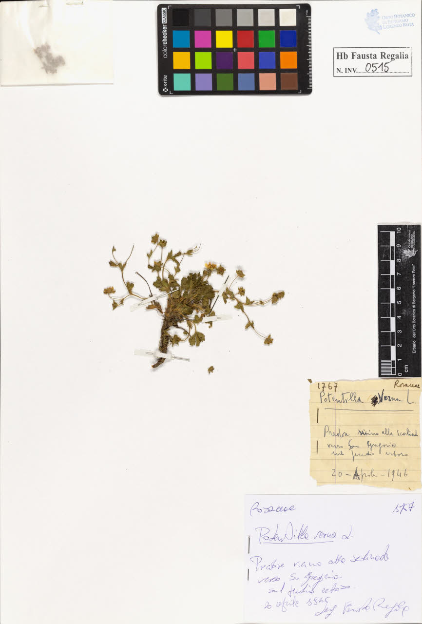 SW_BNB_s3020-00518_IMG-0000000001