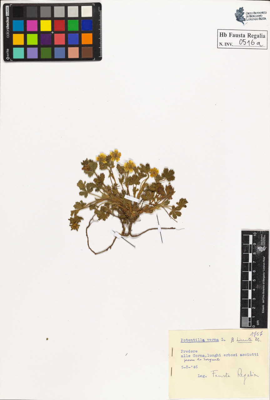 SW_BNB_s3020-00519_IMG-0000000001