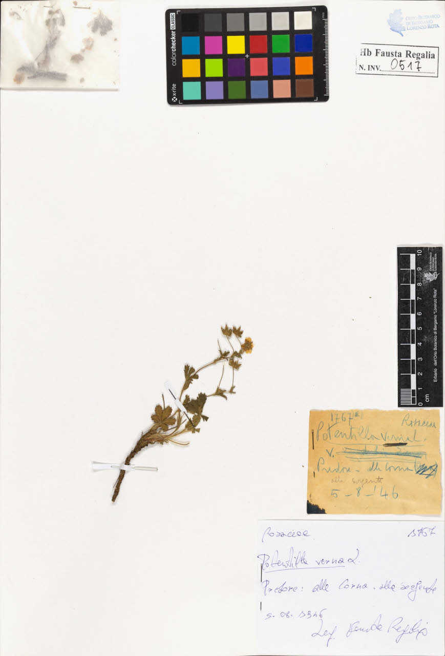 SW_BNB_s3020-00520_IMG-0000000001