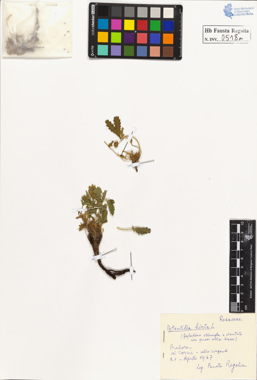 SW_BNB_s3020-00521_IMG-0000000001