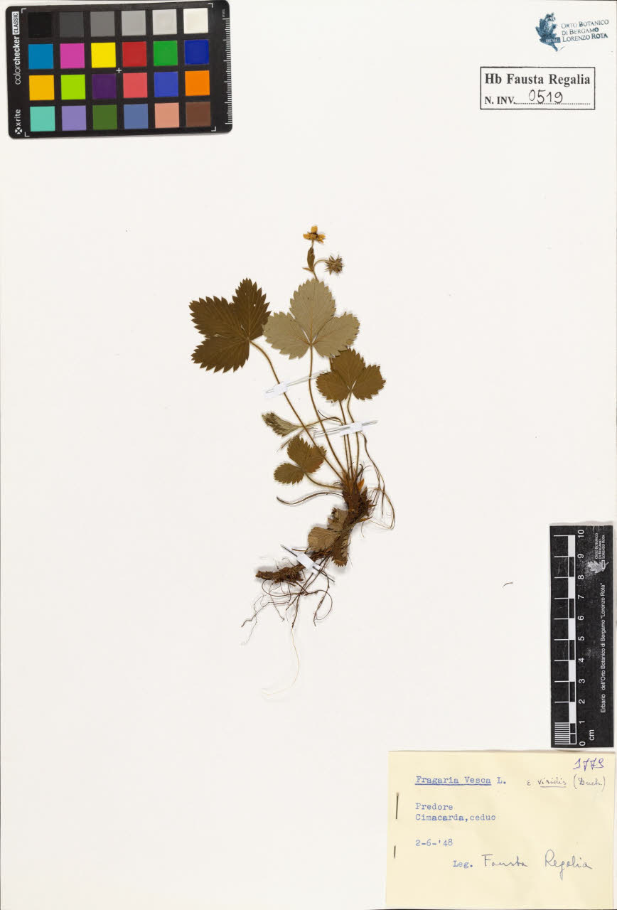 SW_BNB_s3020-00522_IMG-0000000001