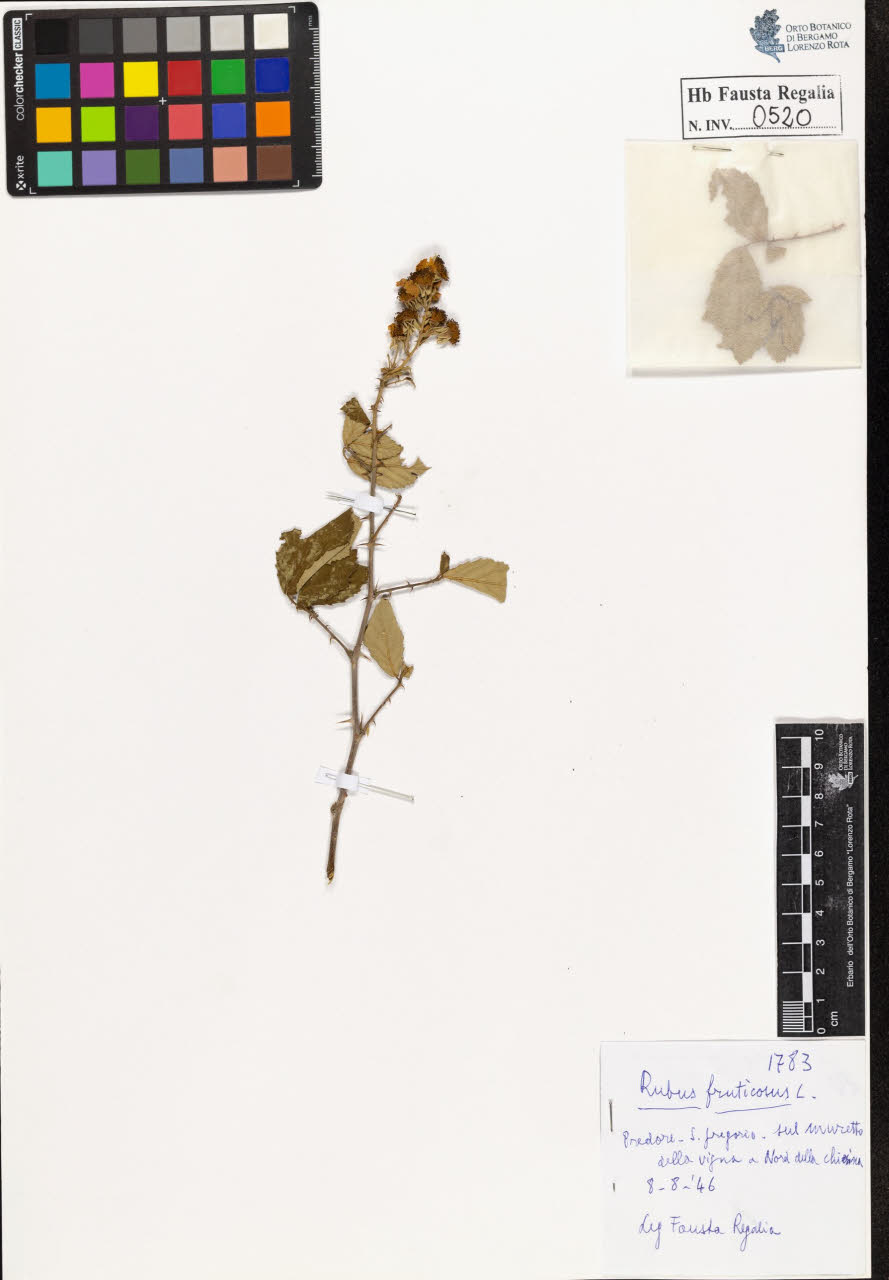 SW_BNB_s3020-00523_IMG-0000000001