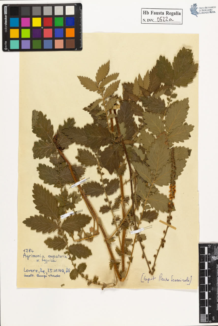 SW_BNB_s3020-00525_IMG-0000000001