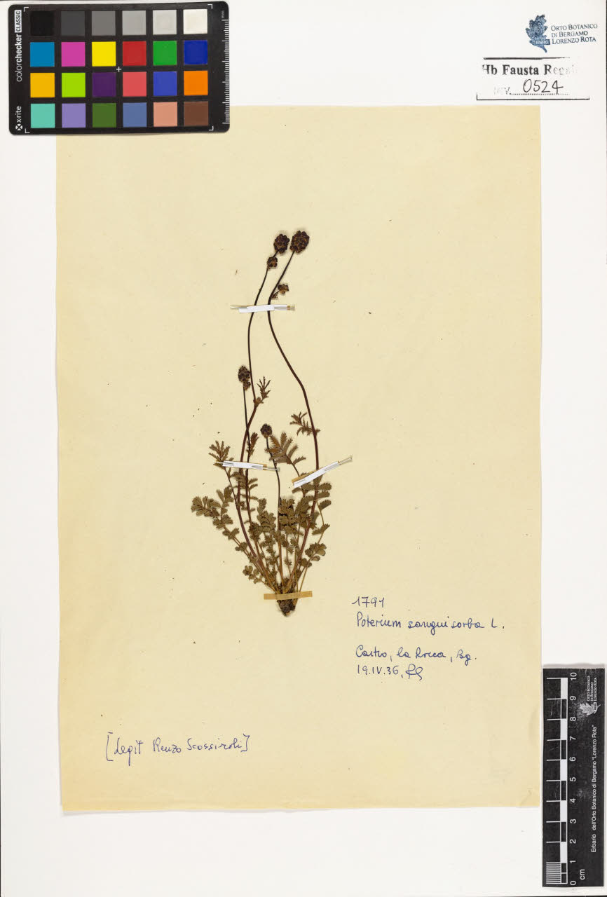 SW_BNB_s3020-00527_IMG-0000000001