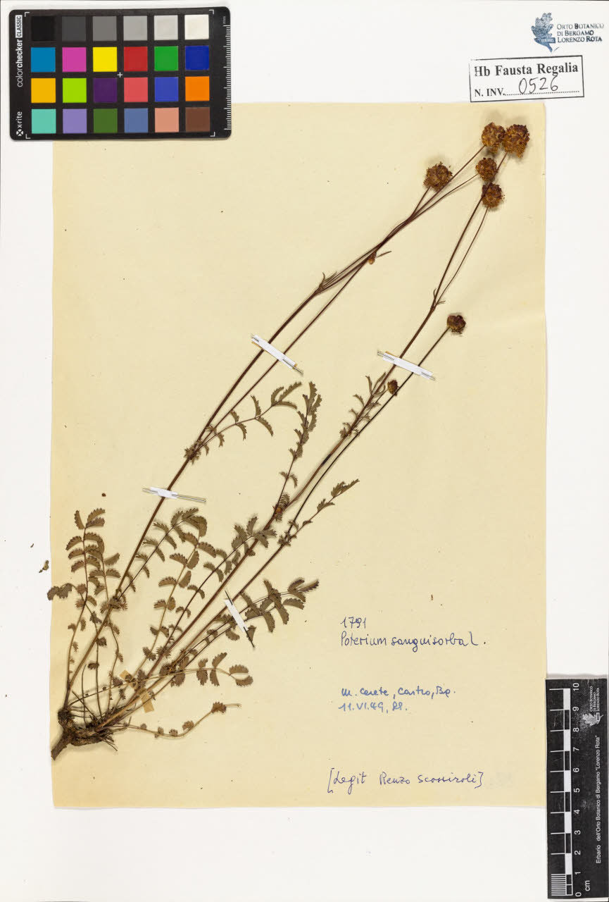 SW_BNB_s3020-00529_IMG-0000000001