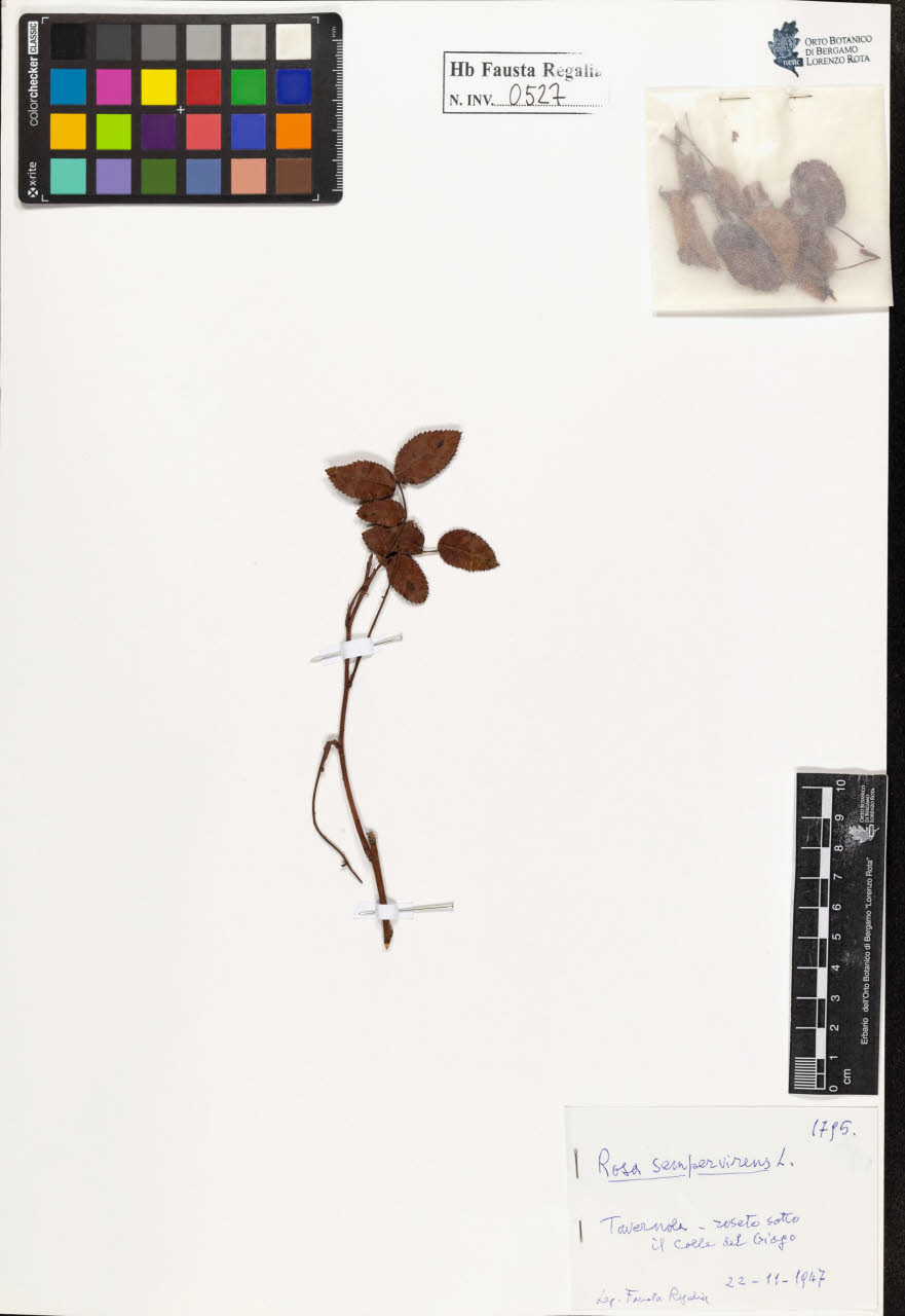 SW_BNB_s3020-00530_IMG-0000000001