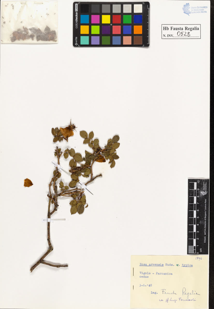 SW_BNB_s3020-00531_IMG-0000000001