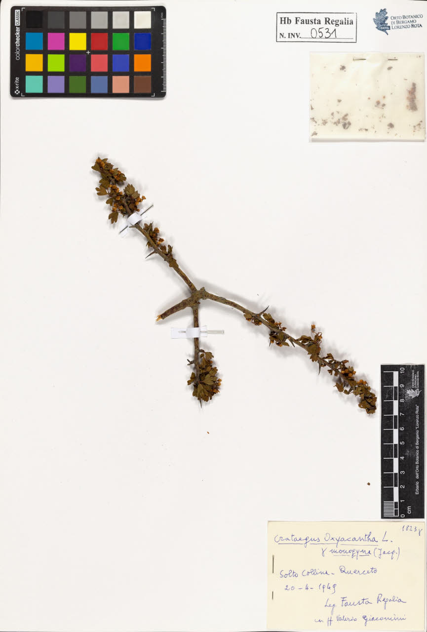 SW_BNB_s3020-00534_IMG-0000000001