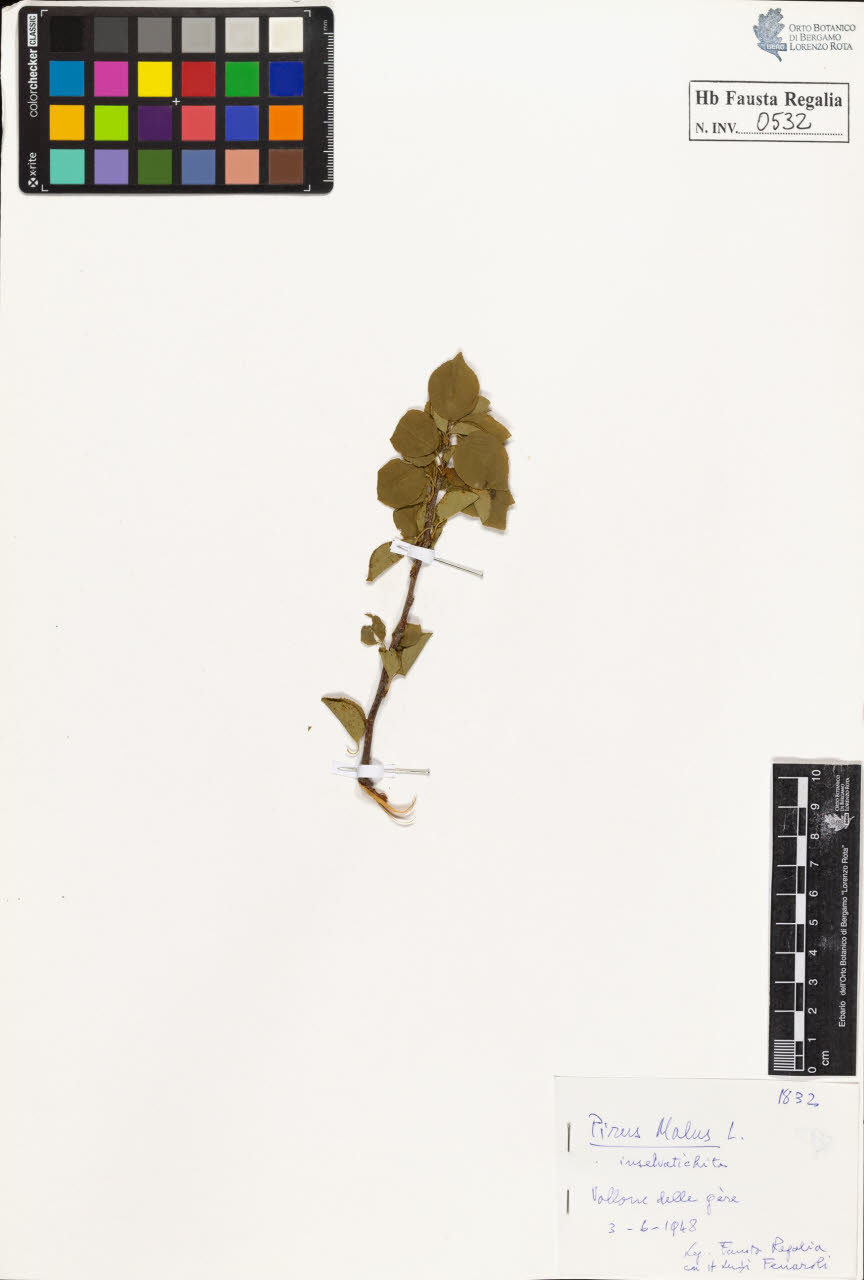 SW_BNB_s3020-00535_IMG-0000000001