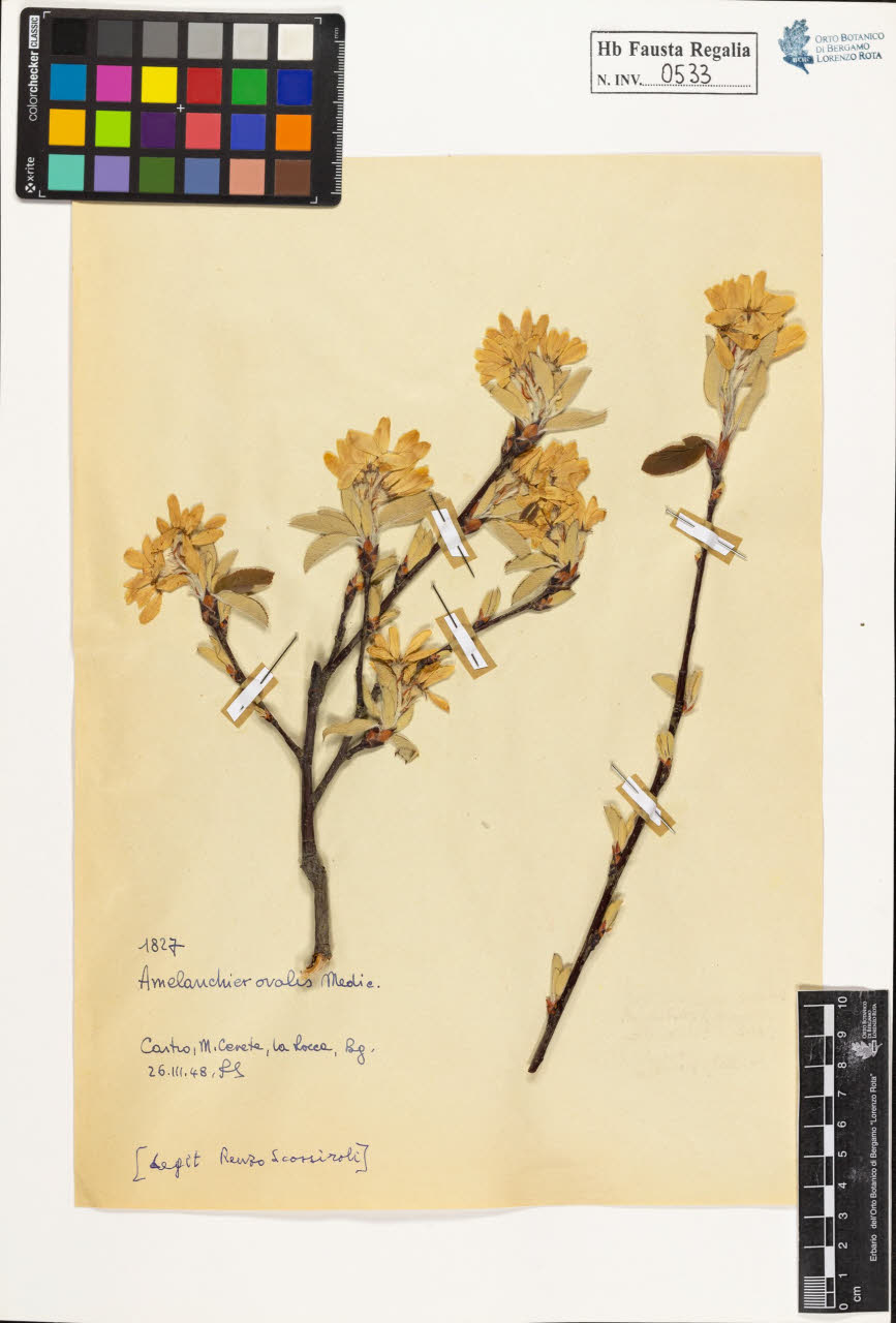 SW_BNB_s3020-00536_IMG-0000000001