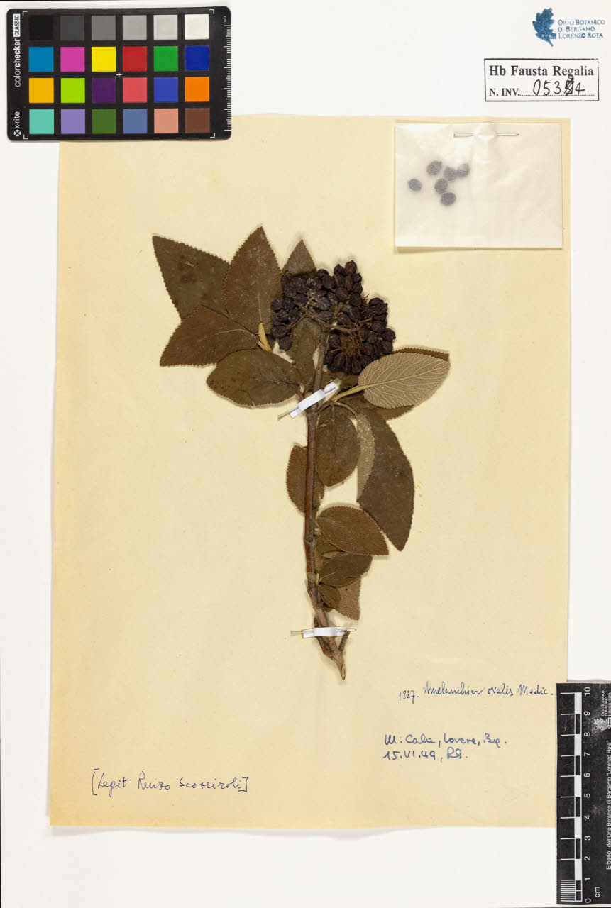 SW_BNB_s3020-00537_IMG-0000000001