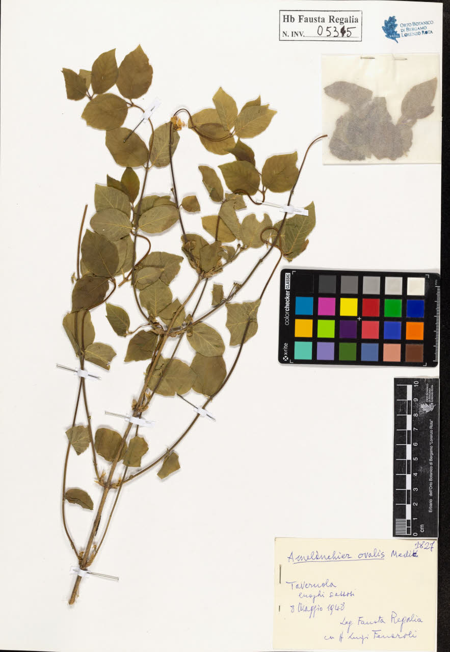 SW_BNB_s3020-00538_IMG-0000000001