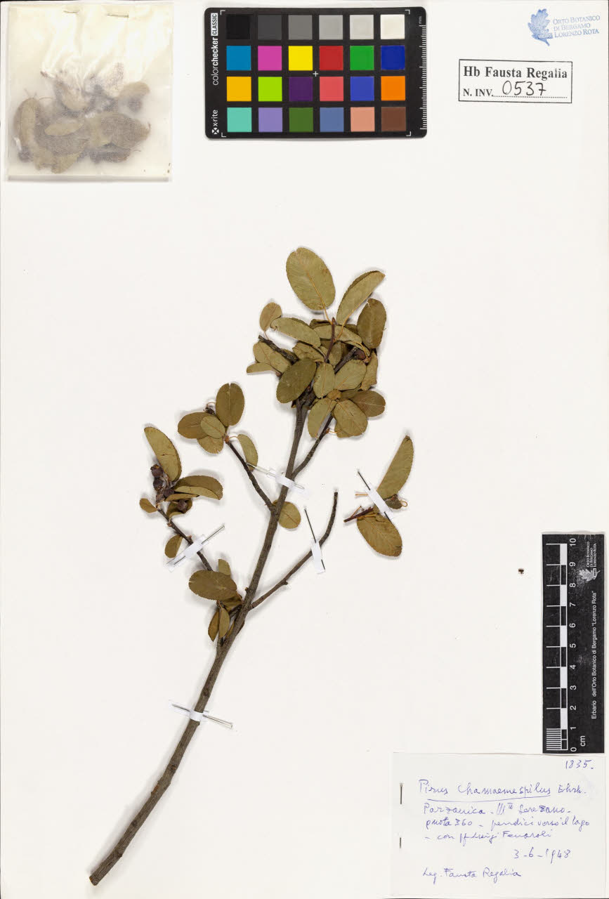 SW_BNB_s3020-00540_IMG-0000000001