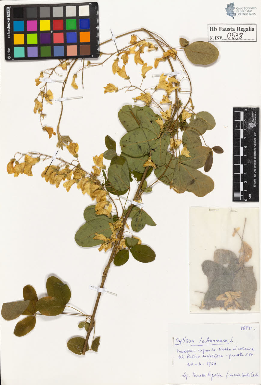 SW_BNB_s3020-00541_IMG-0000000001