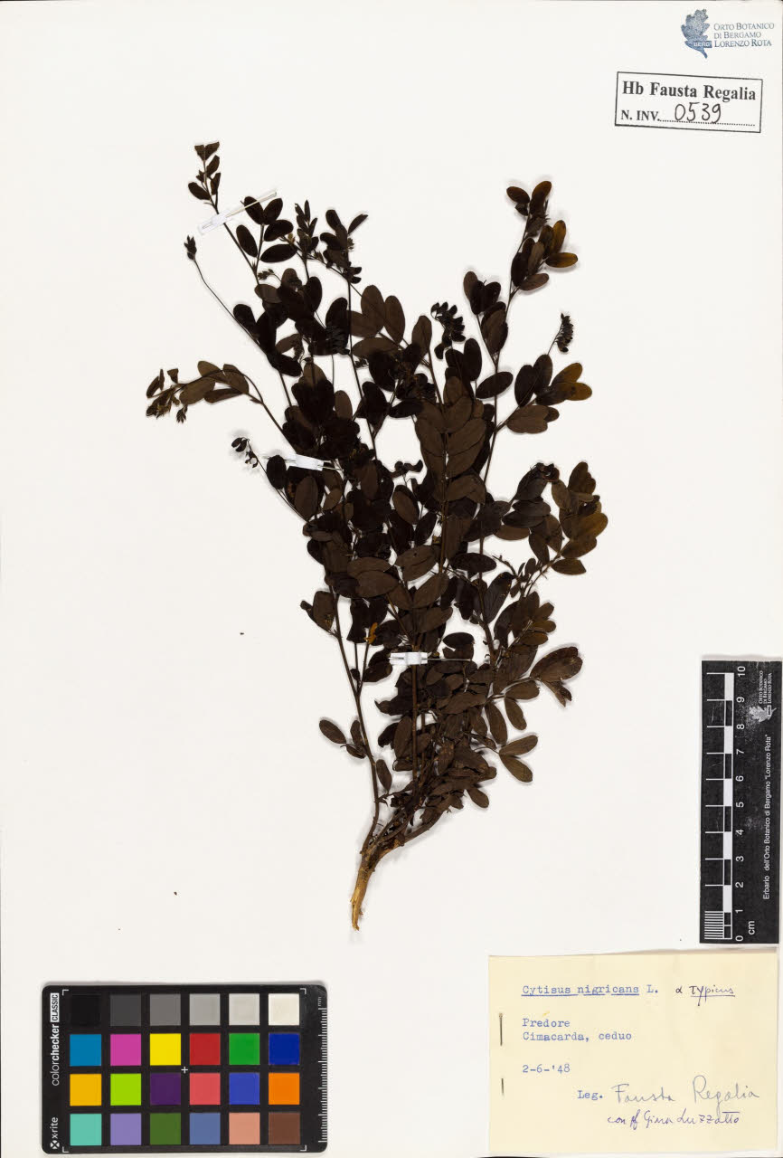 SW_BNB_s3020-00542_IMG-0000000001