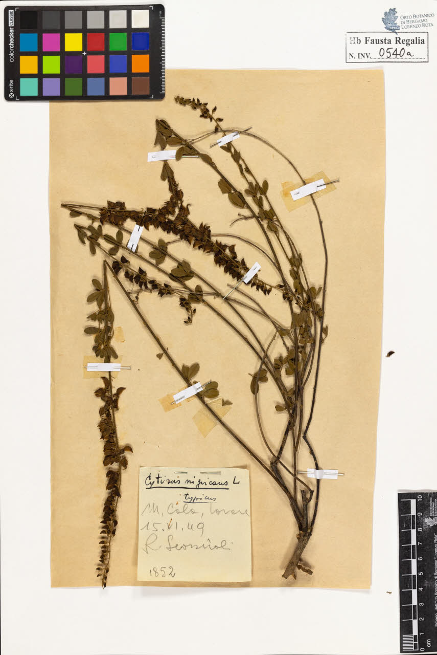 SW_BNB_s3020-00543_IMG-0000000001