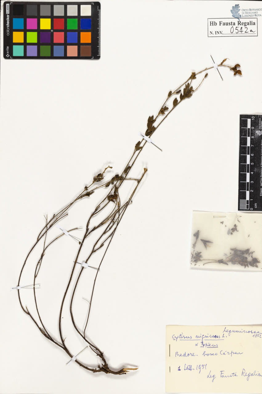 SW_BNB_s3020-00545_IMG-0000000001