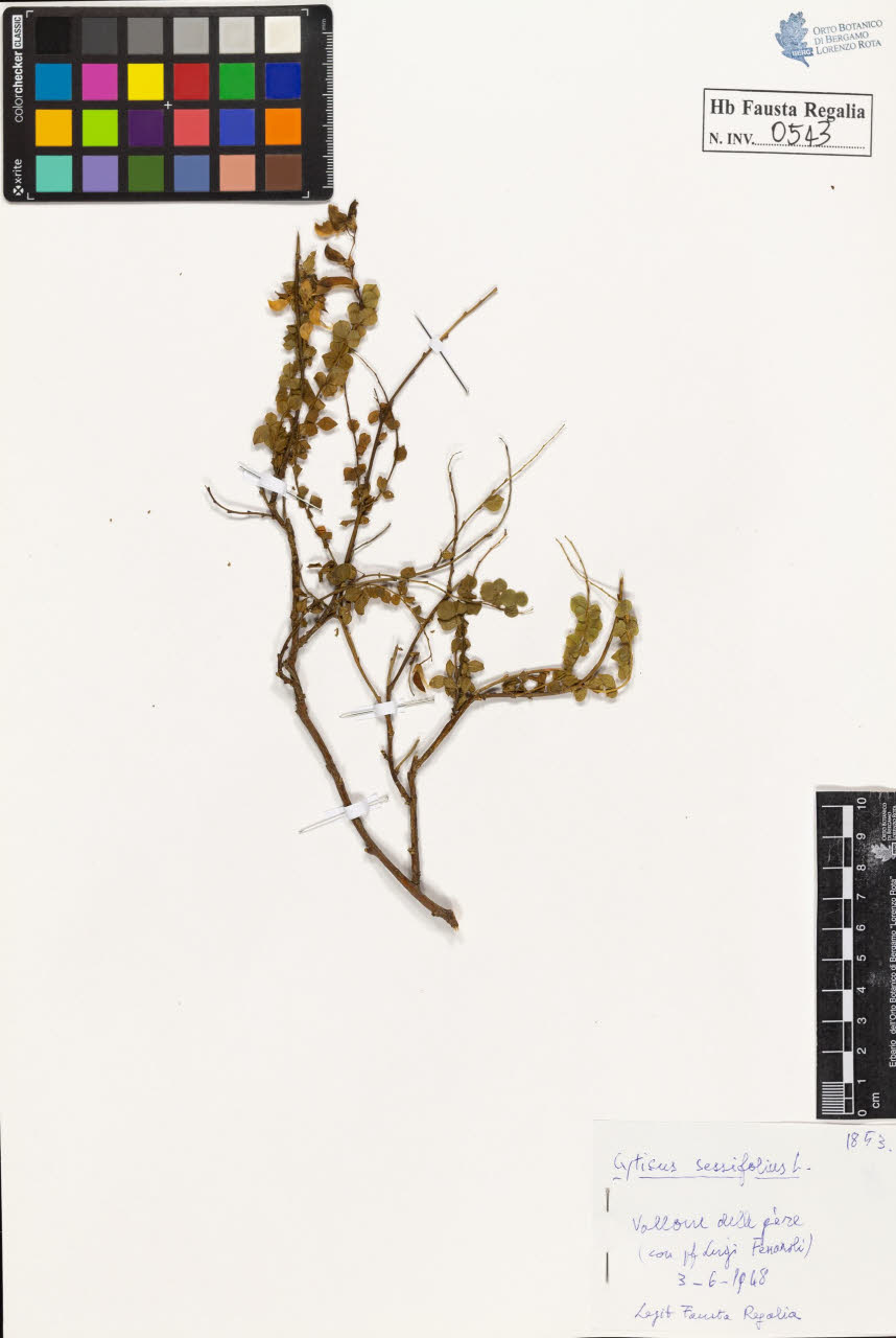 SW_BNB_s3020-00546_IMG-0000000001