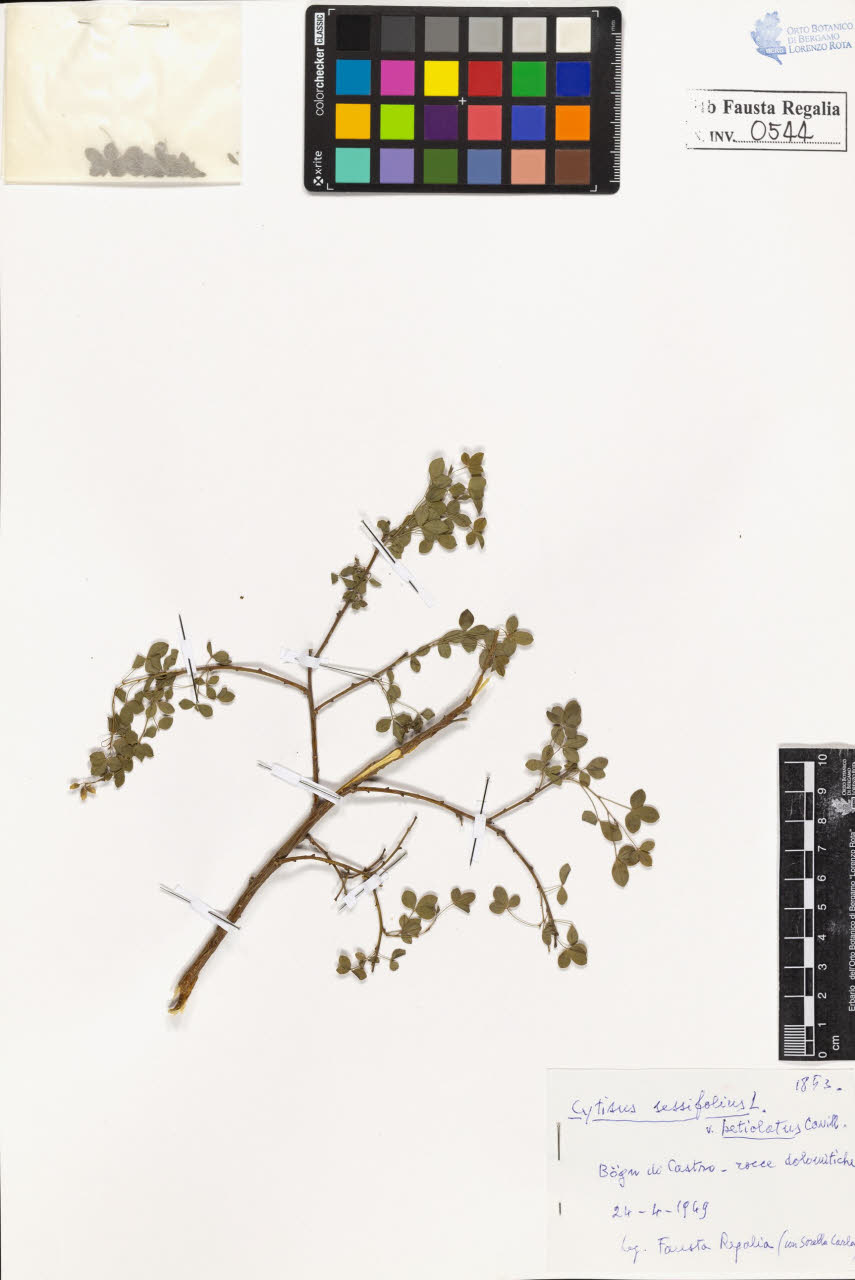 SW_BNB_s3020-00547_IMG-0000000001