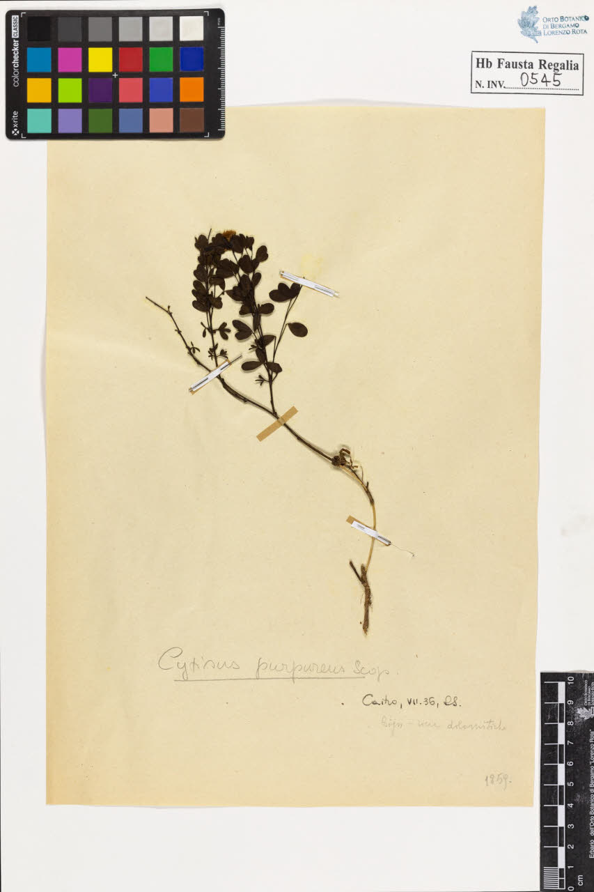 SW_BNB_s3020-00548_IMG-0000000001