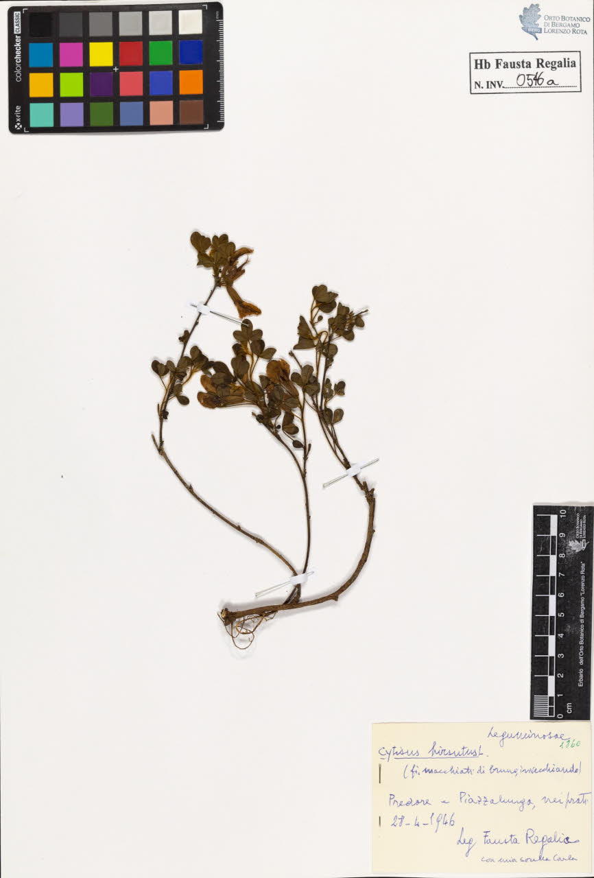 SW_BNB_s3020-00549_IMG-0000000001