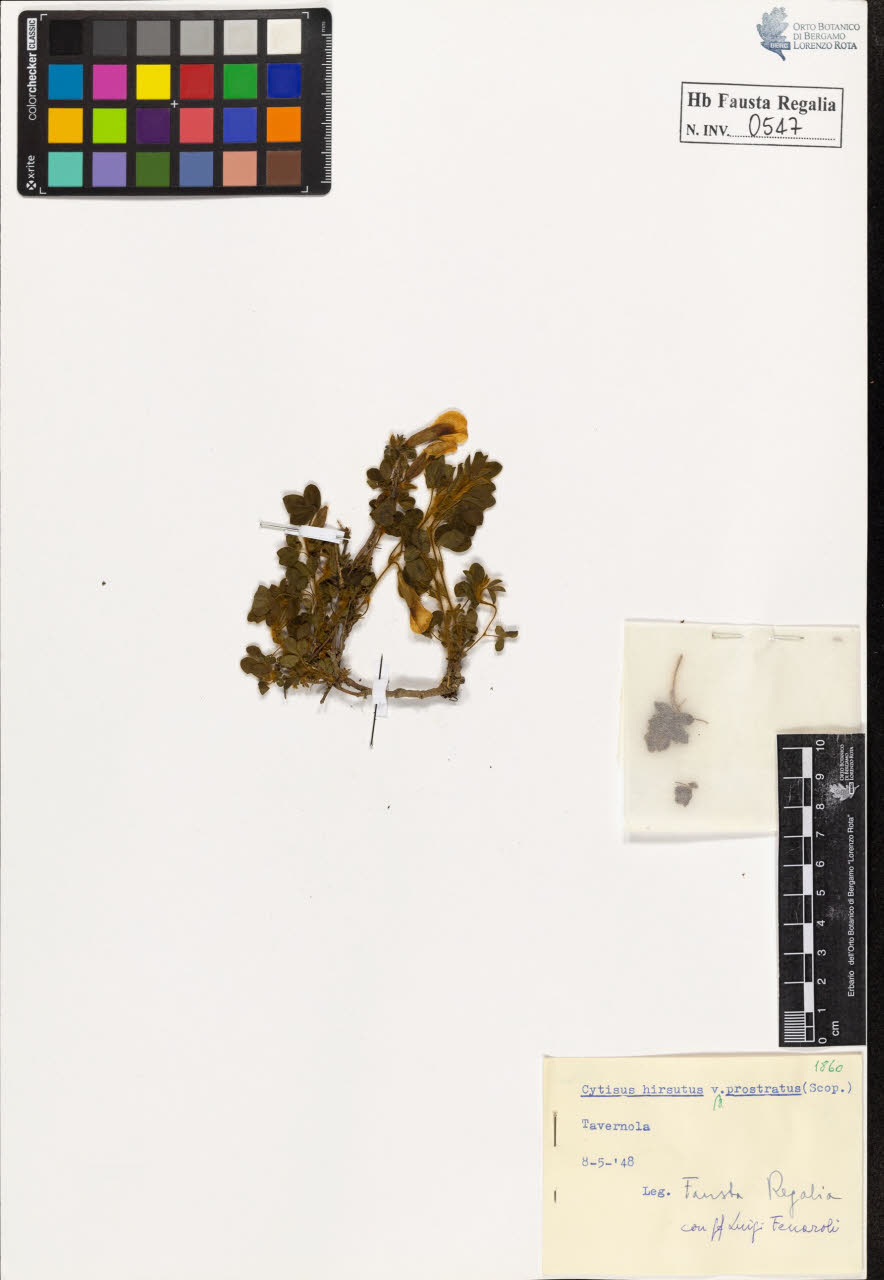 SW_BNB_s3020-00550_IMG-0000000001