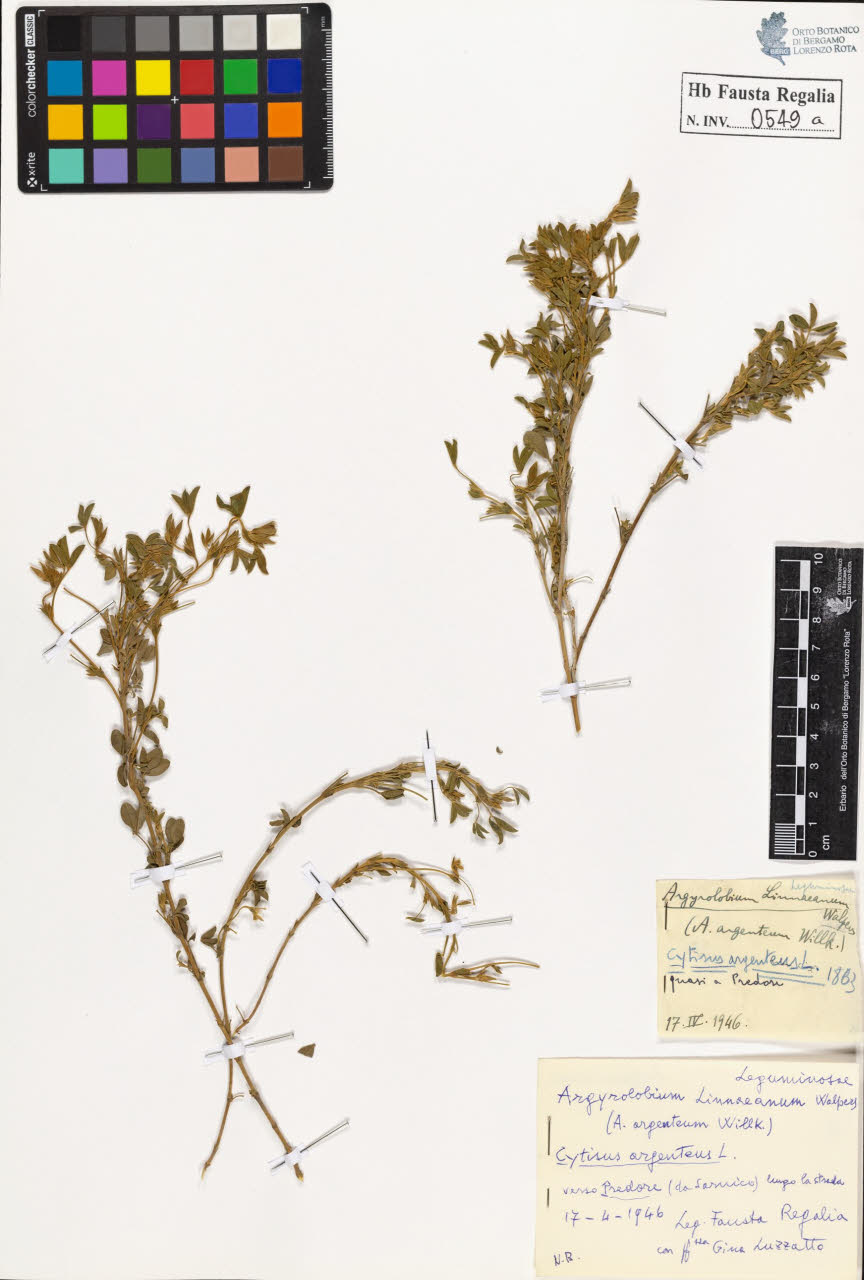 SW_BNB_s3020-00552_IMG-0000000001