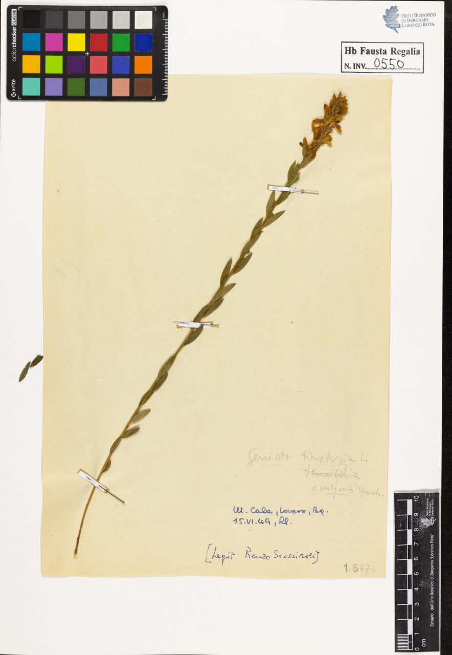 SW_BNB_s3020-00553_IMG-0000000001