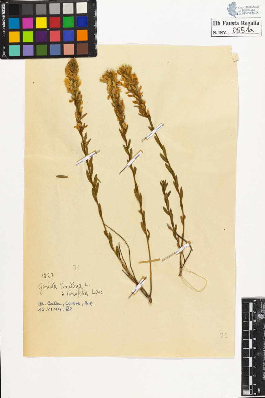 SW_BNB_s3020-00554_IMG-0000000001