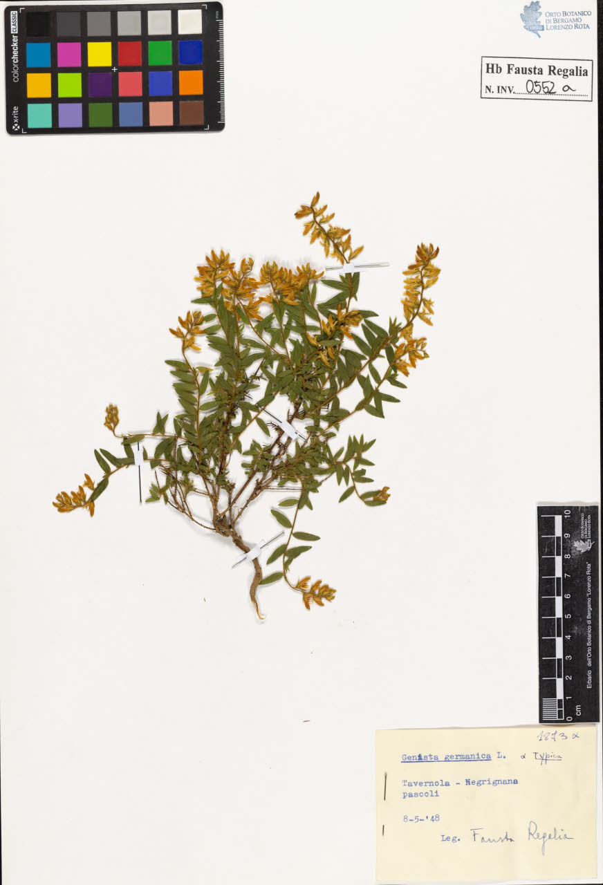 SW_BNB_s3020-00555_IMG-0000000001