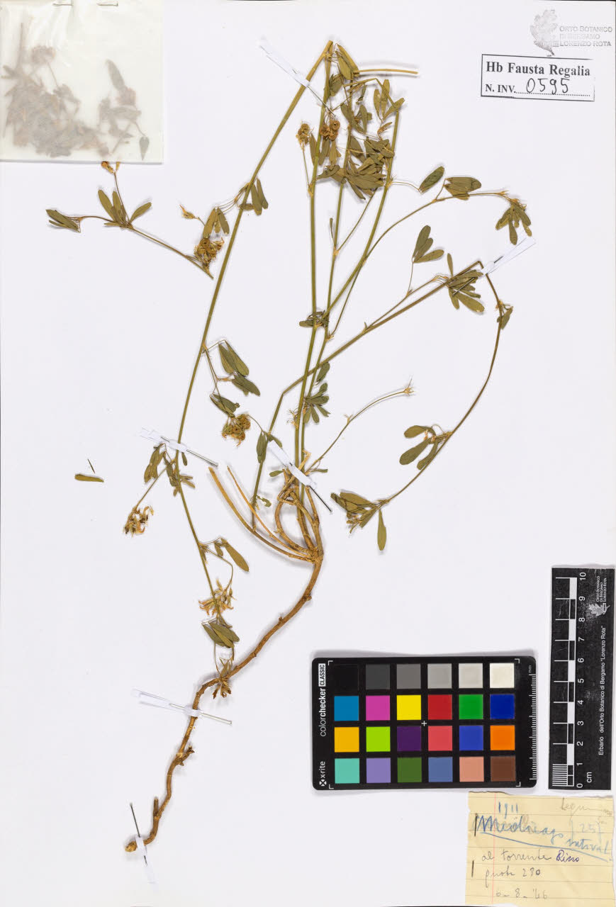 SW_BNB_s3020-00598_IMG-0000000001