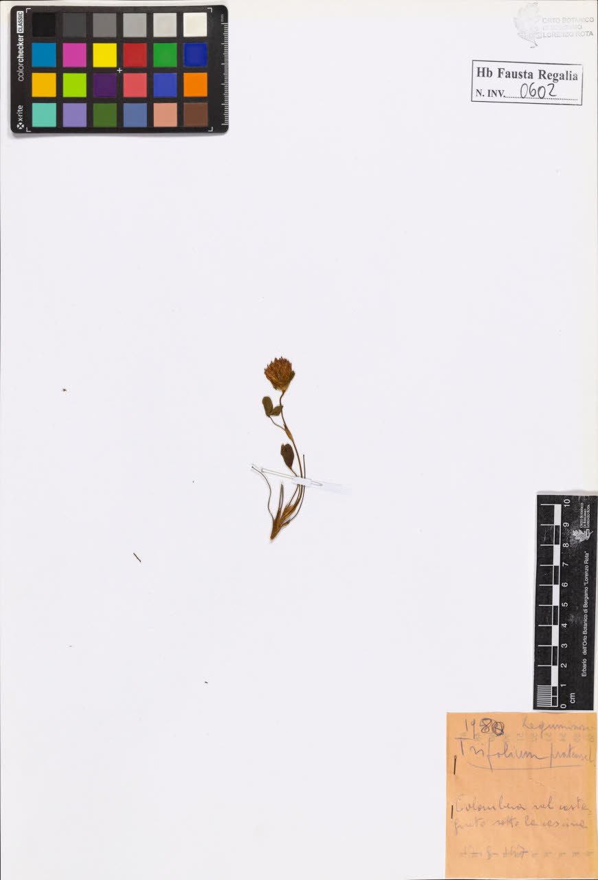 SW_BNB_s3020-00605_IMG-0000000001