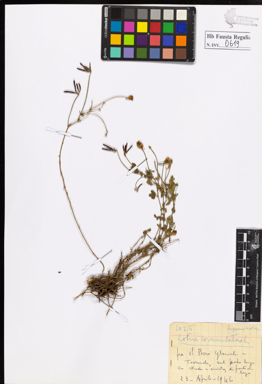 SW_BNB_s3020-00622_IMG-0000000001