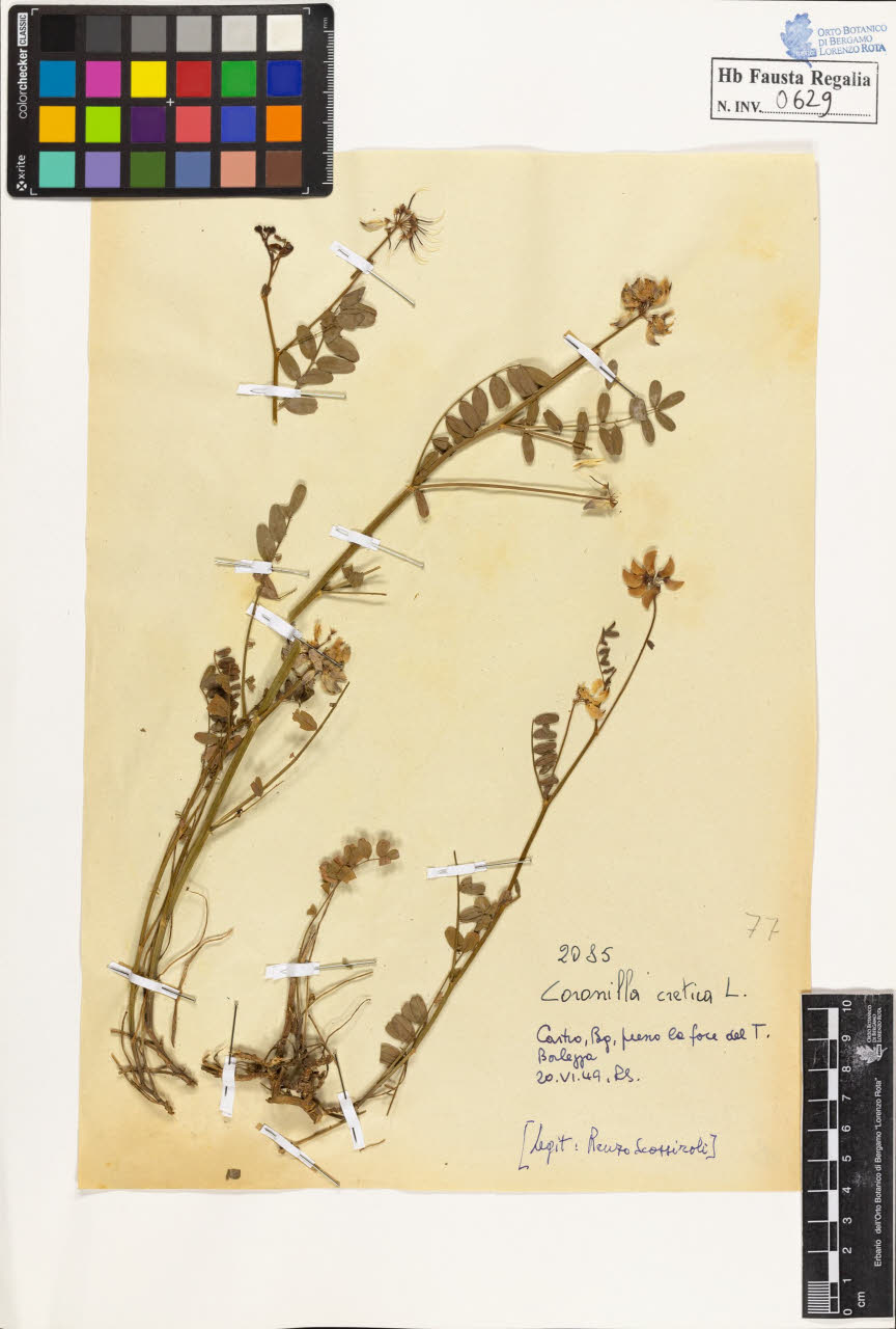 SW_BNB_s3020-00632_IMG-0000000001