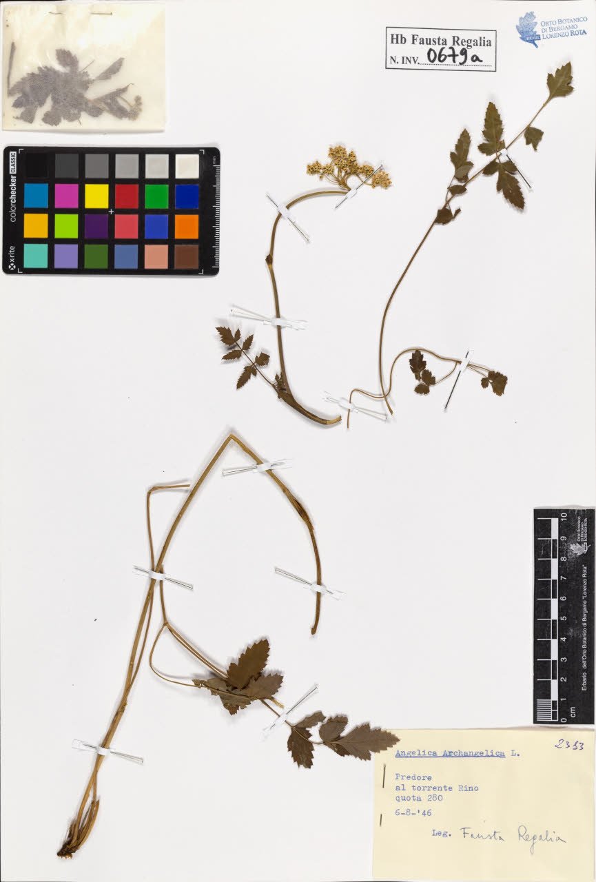 SW_BNB_s3020-00682_IMG-0000000001