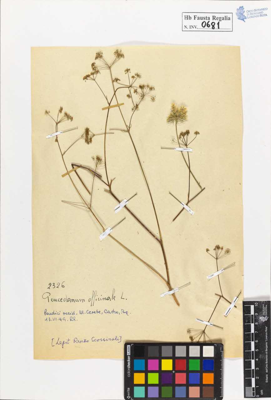 SW_BNB_s3020-00684_IMG-0000000001