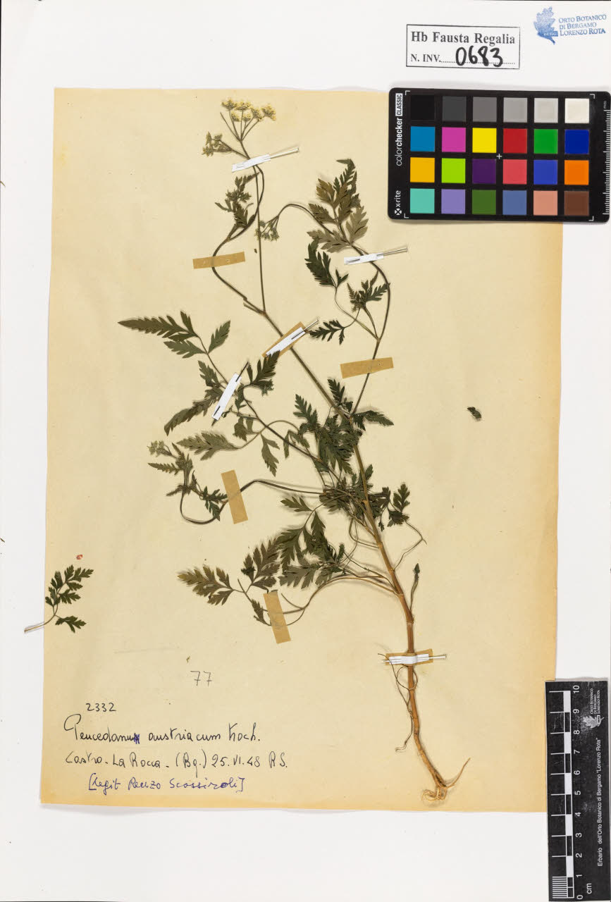 SW_BNB_s3020-00686_IMG-0000000001