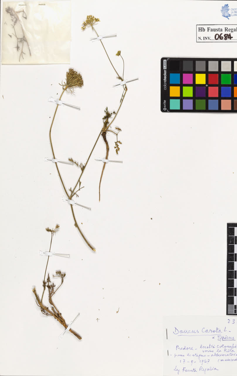 SW_BNB_s3020-00687_IMG-0000000001