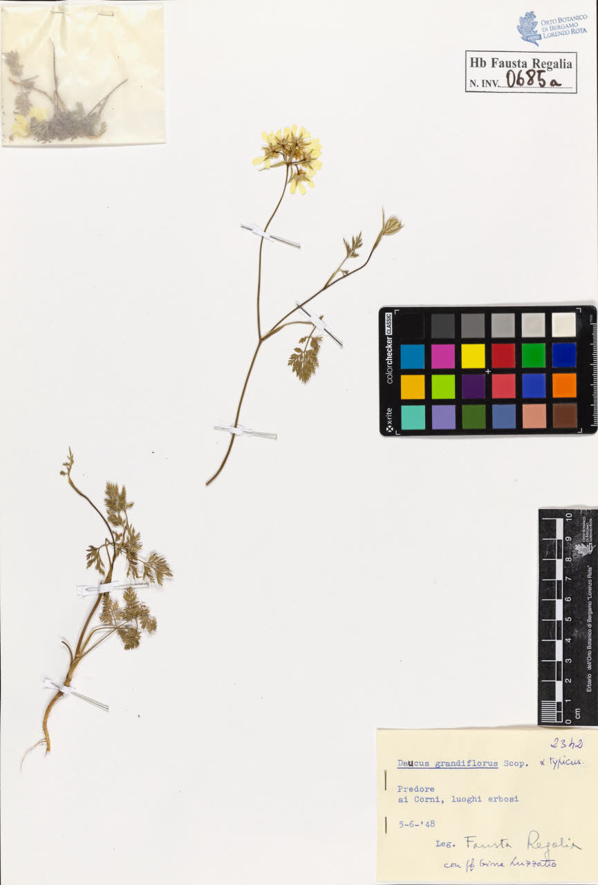 SW_BNB_s3020-00688_IMG-0000000001