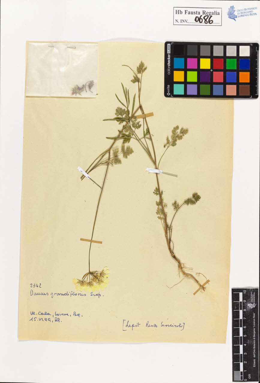 SW_BNB_s3020-00689_IMG-0000000001