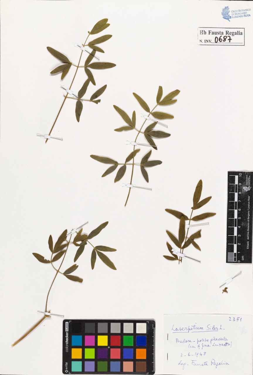 SW_BNB_s3020-00690_IMG-0000000001